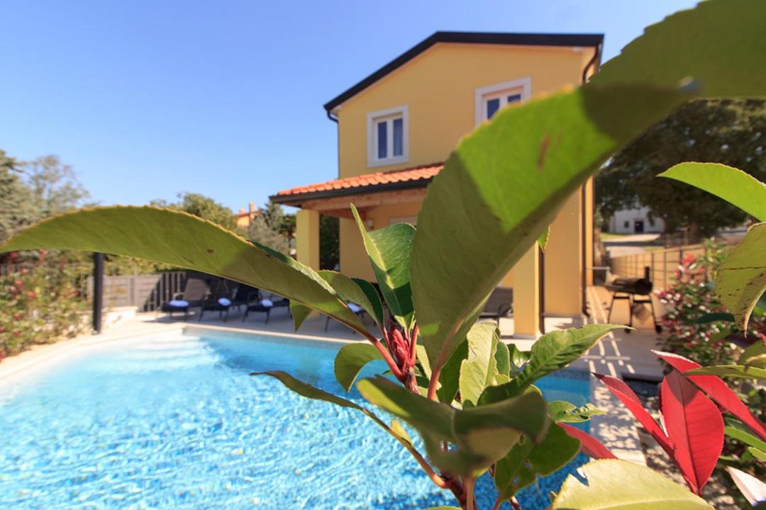 Photo of Outdoor in Mugeba