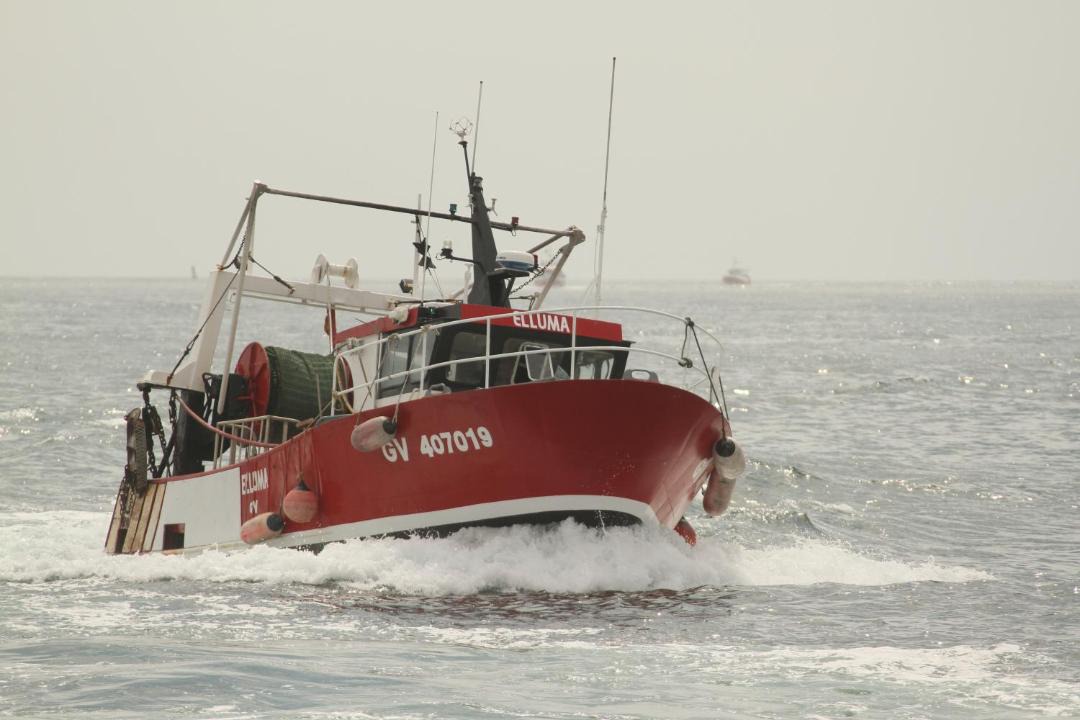 Photo of Others in Treffiagat