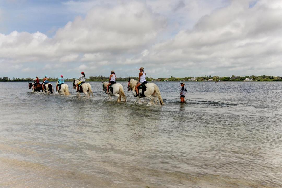 Photo of Others in Anna Maria