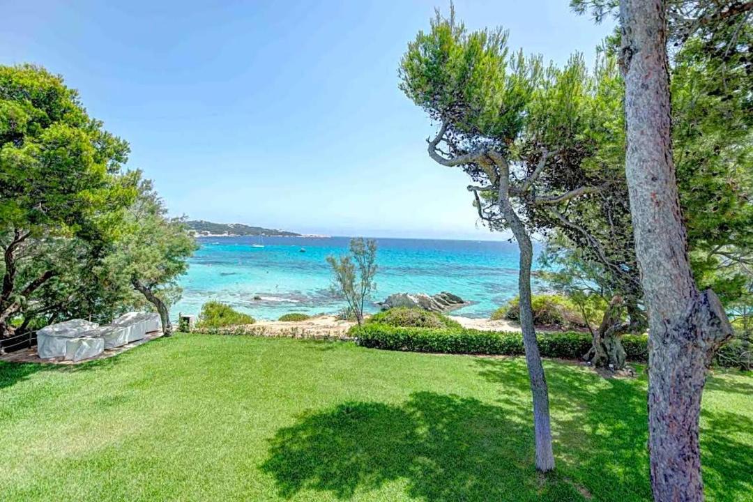 Photo of Outdoor in Son Moll