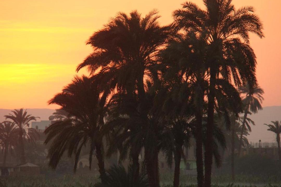 Photo of Others in Luxor