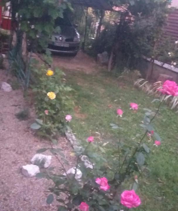 Photo of Outdoor in Zsorifurdo