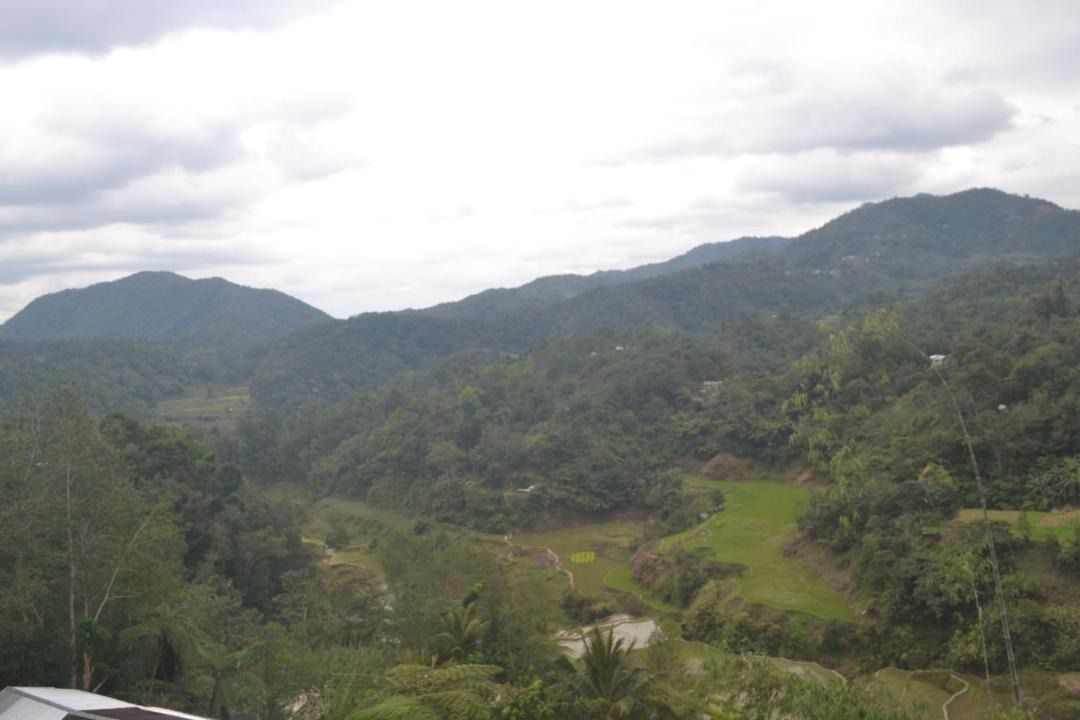 Photo of Outdoor in Banaue