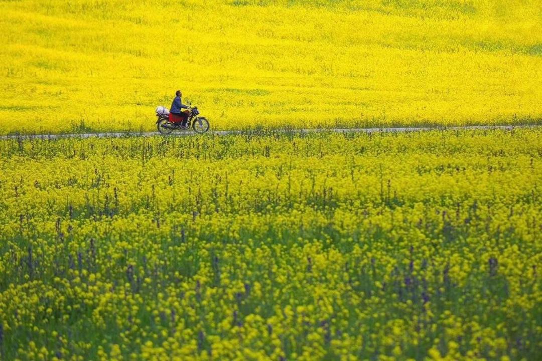 Photo of Others in Tunxi