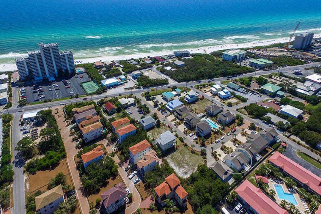 Photo of Others in Magnolia Dune