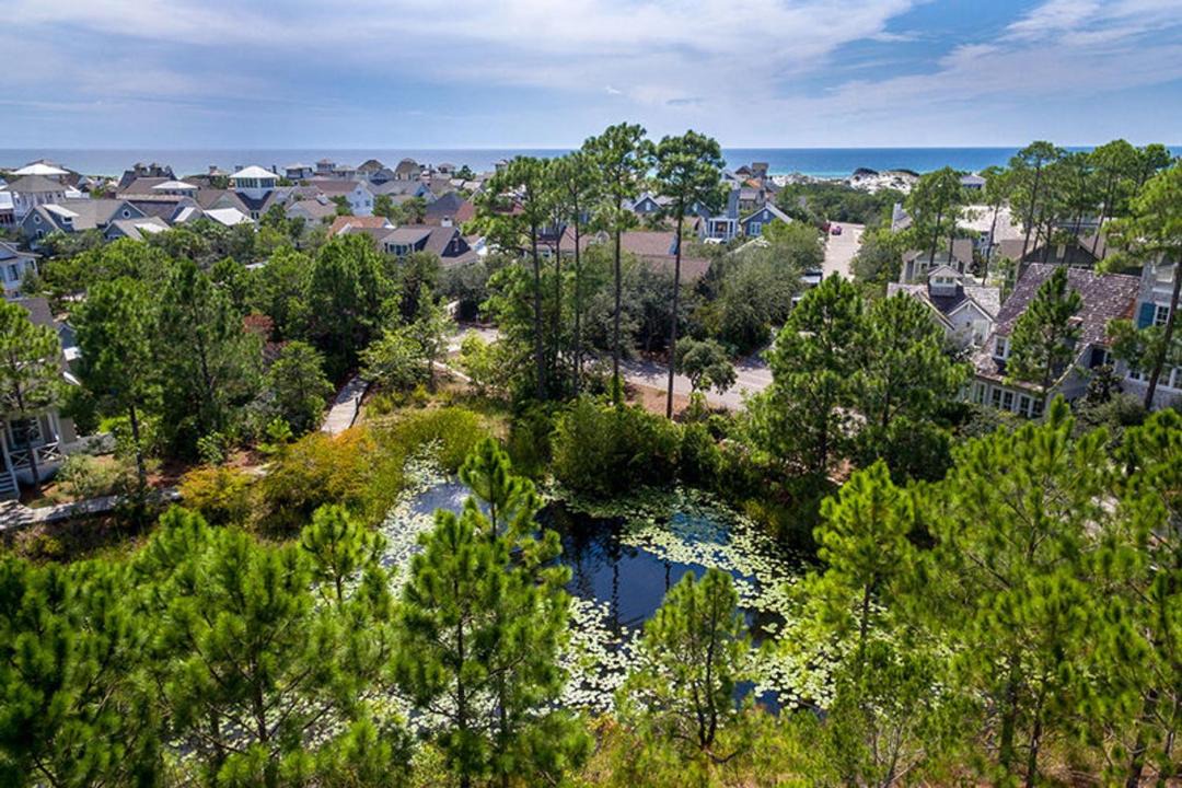 Photo of Outdoor in WaterSound Beach