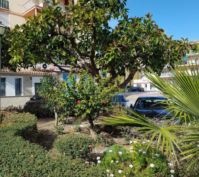Photo of Buildings in Torrox Costa