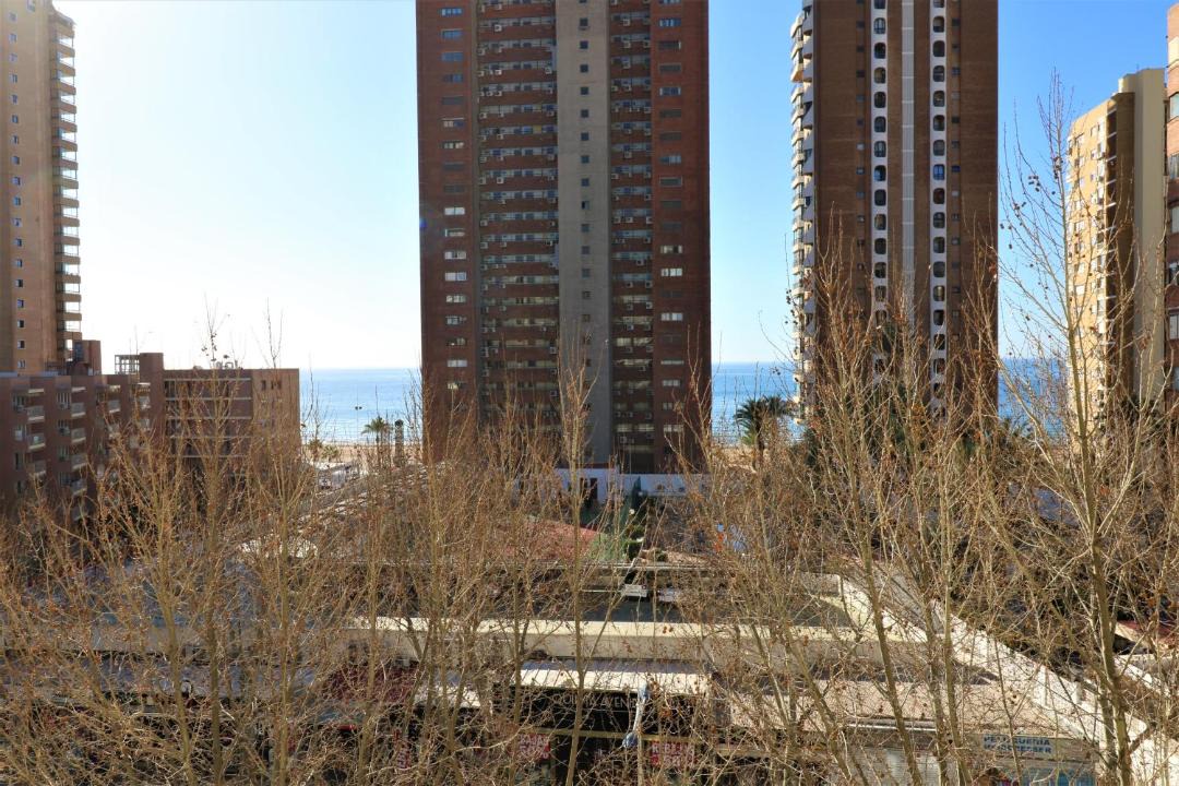 Photo of Buildings in Benidorm