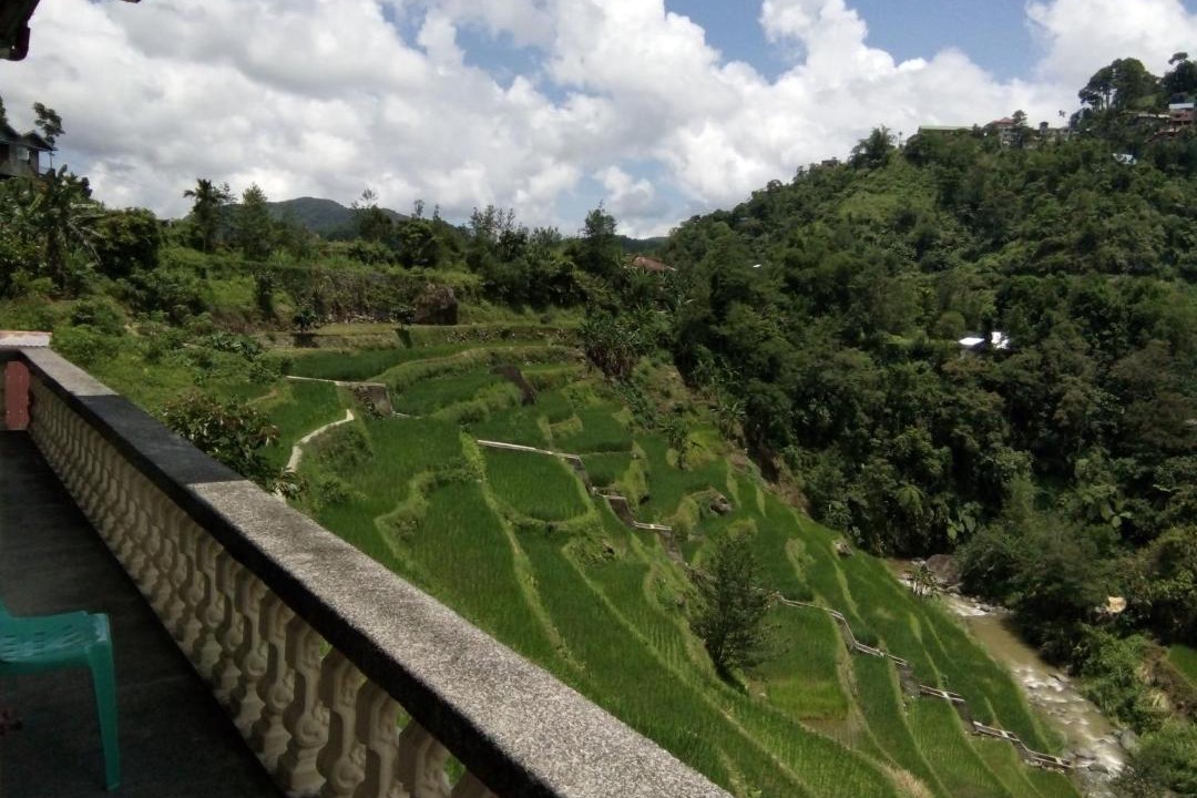 Photo of Others in Banaue