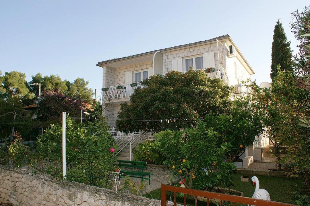 Photo of Others in Mirce