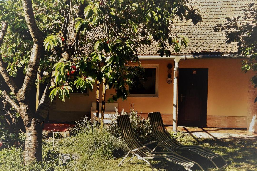 Photo of Buildings in Hodmezovasarhely
