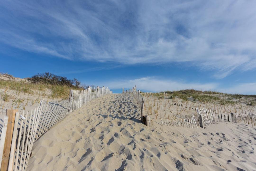 Photo of Others in Oak Bluffs
