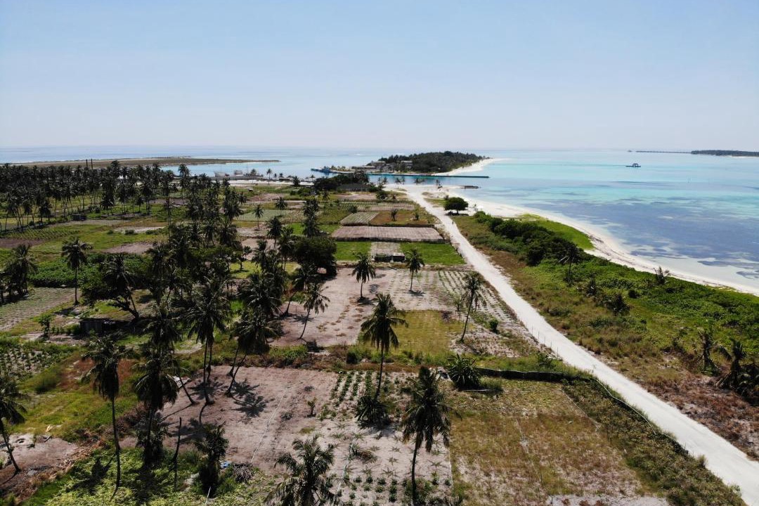 Photo of Outdoor in Maamigili