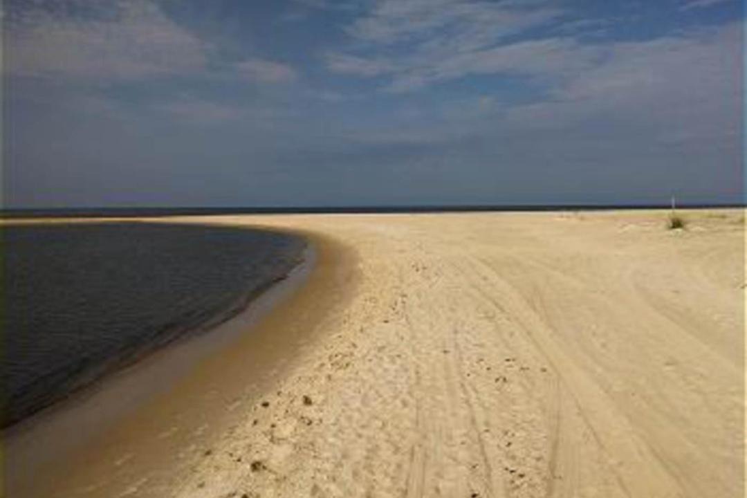Photo of Others in Port St. Joe
