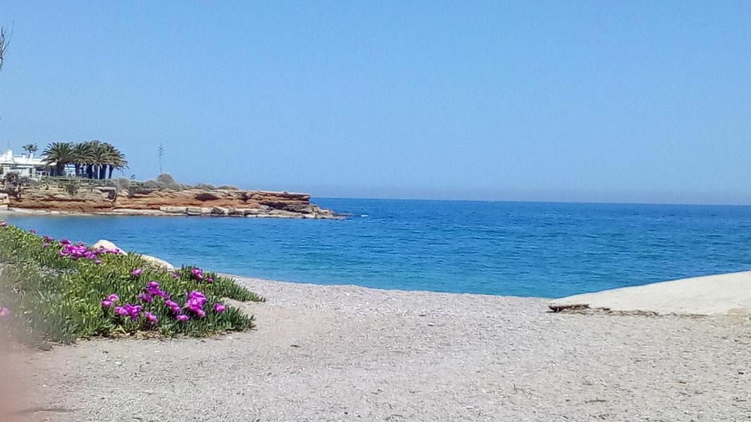 Photo of Others in Vinaros