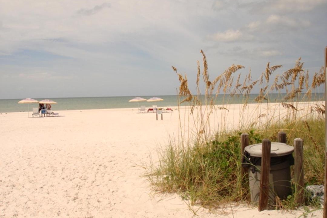 Photo of Others in Siesta Key