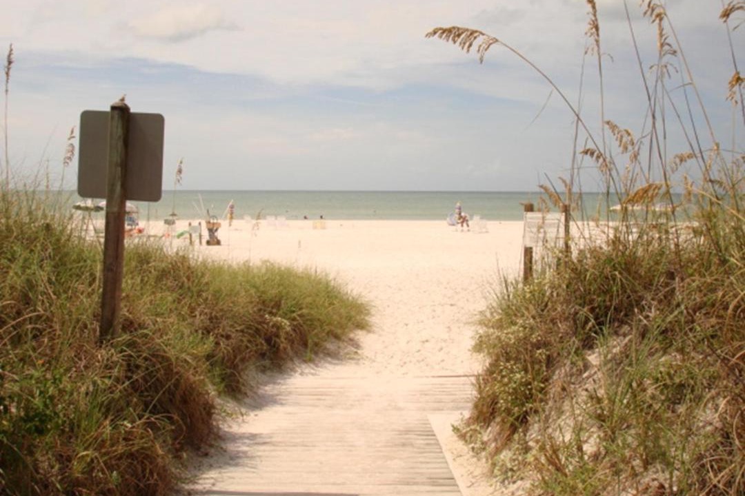 Photo of Others in Siesta Key