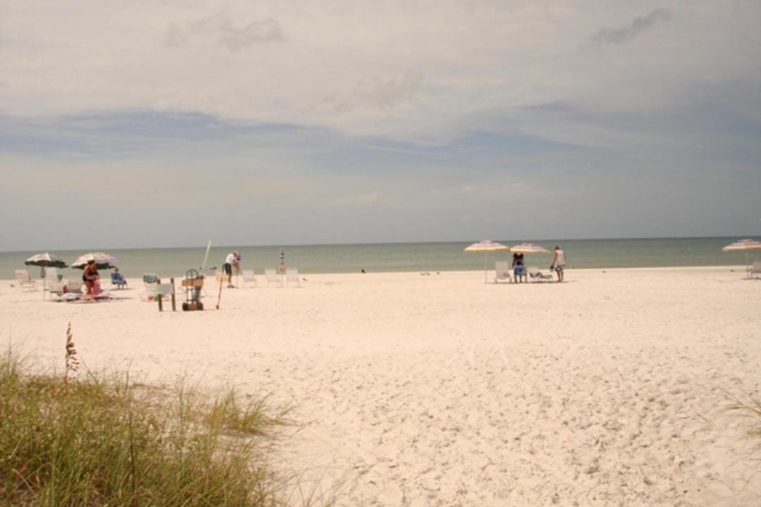 Photo of Others in Siesta Key