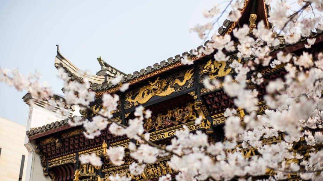 Photo of Others in Qingpu