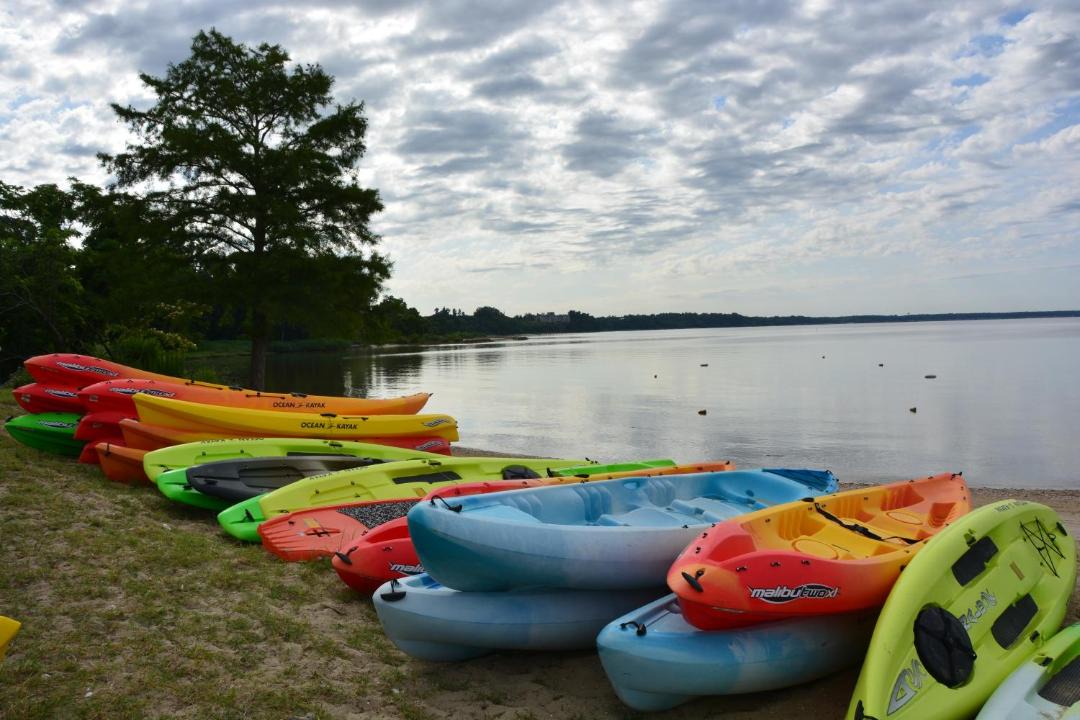 Photo of Others in Kingsmill