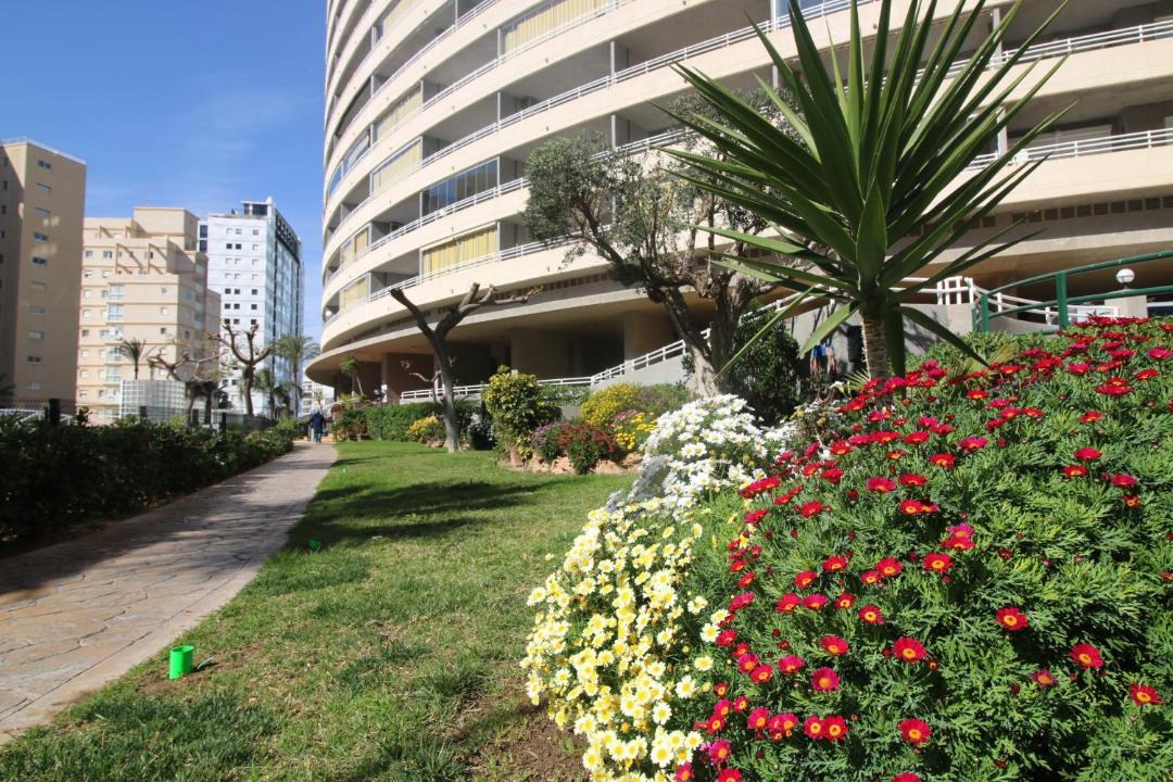 Photo of Buildings in Calpe City Center