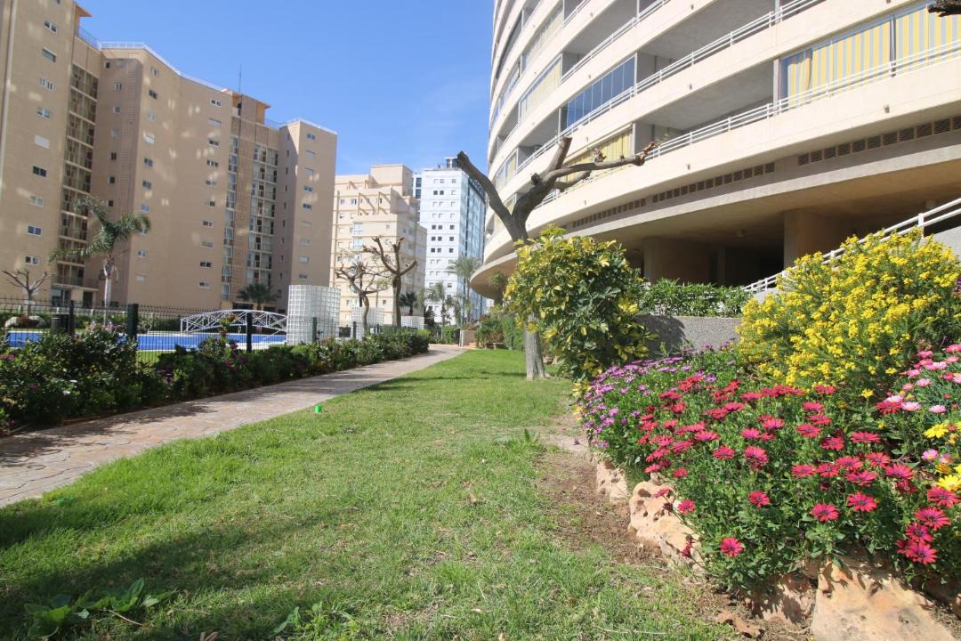 Photo of Buildings in Calpe City Center