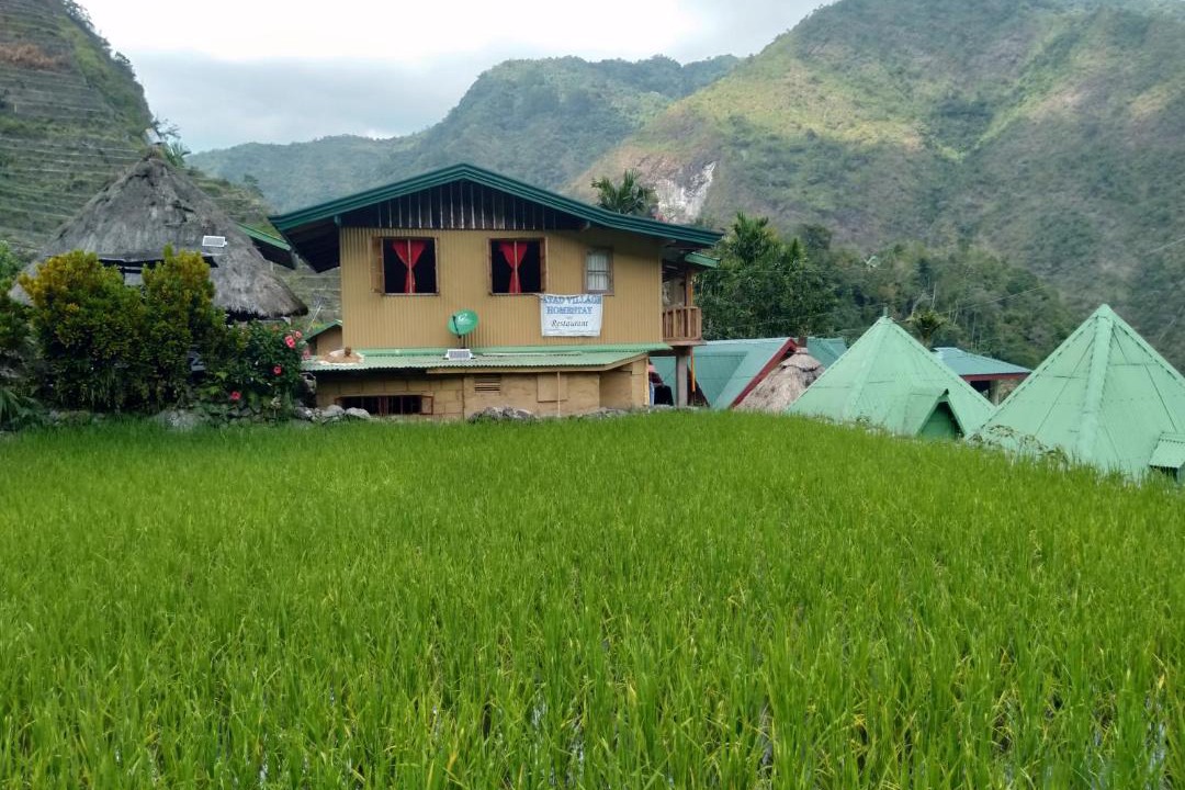 Photo of Buildings in Batad