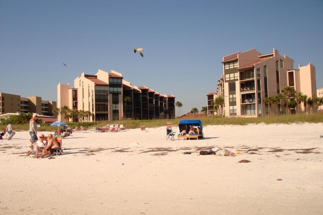 Photo of Others in Siesta Key