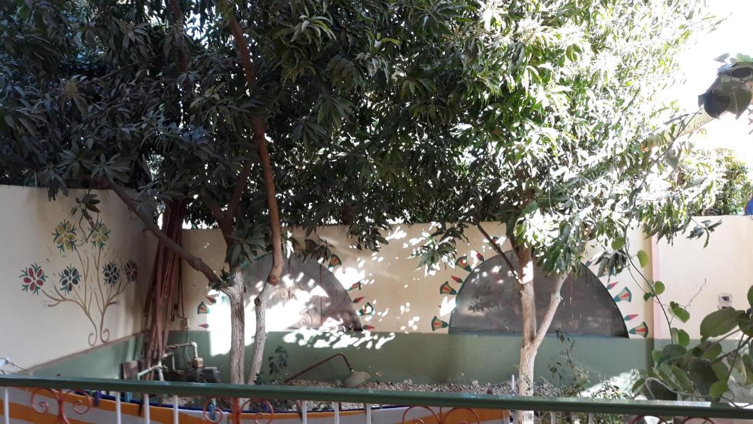 Photo of Buildings in Luxor