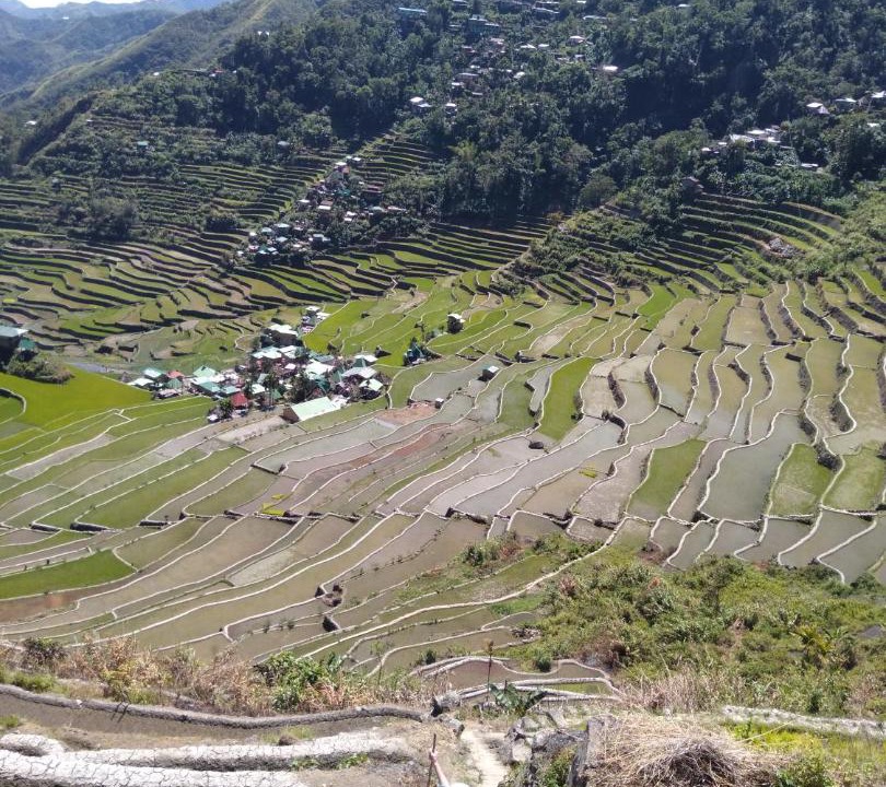 Photo of Outdoor in Batad
