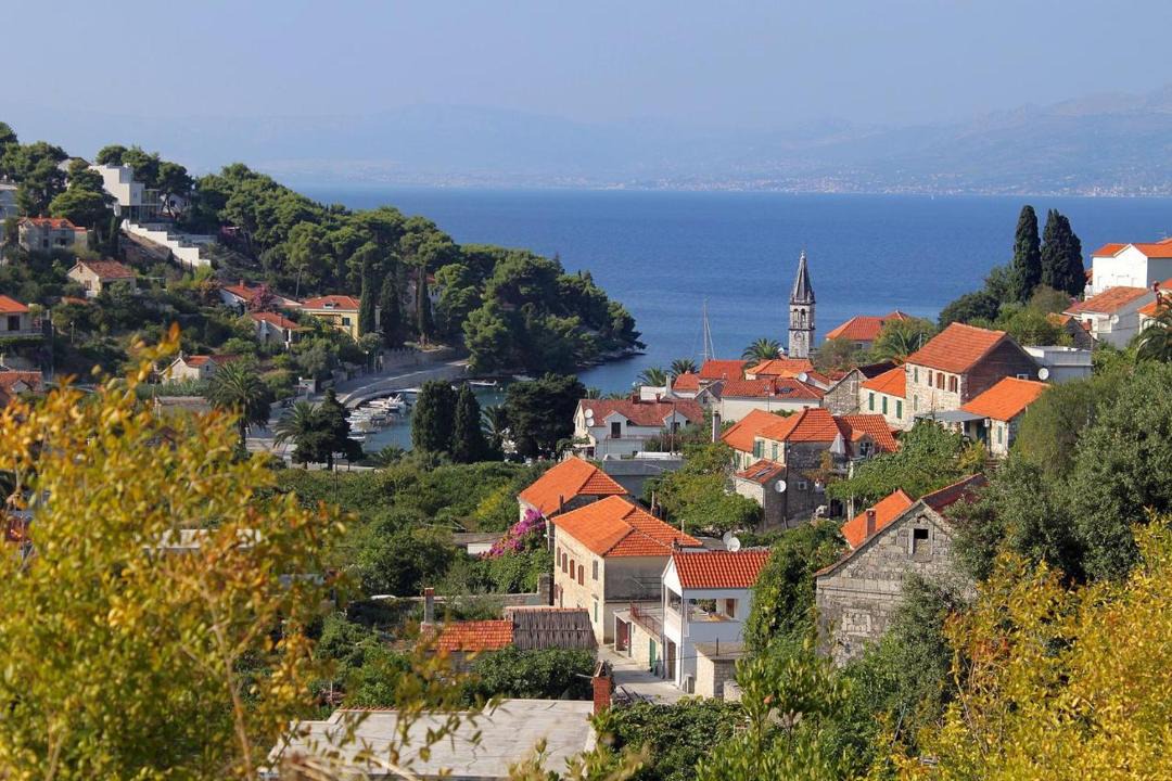 Photo of Others in Splitska