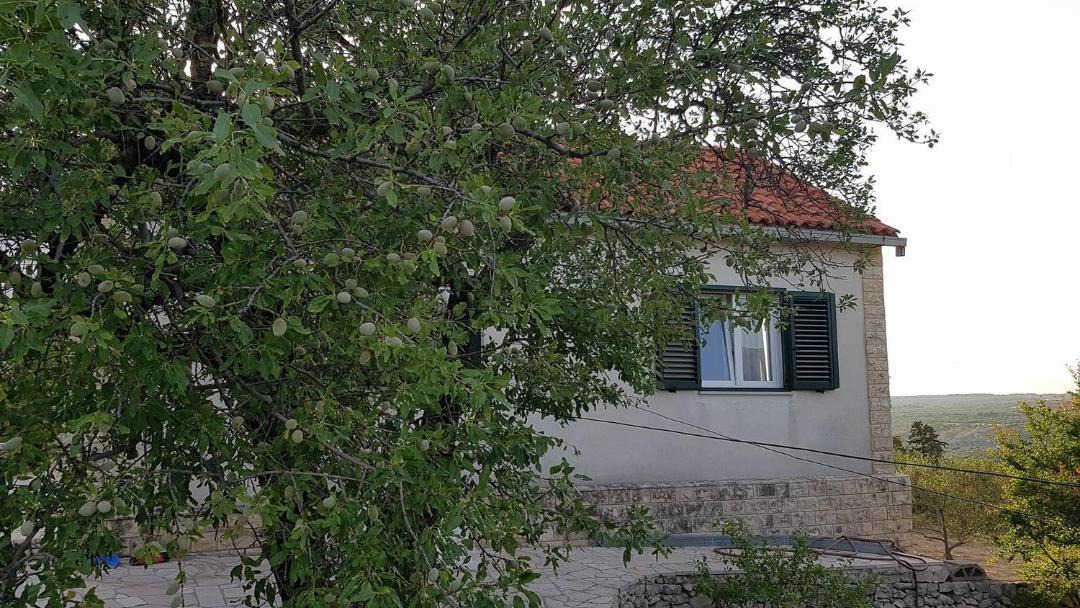 Photo of Buildings in Bobovisca