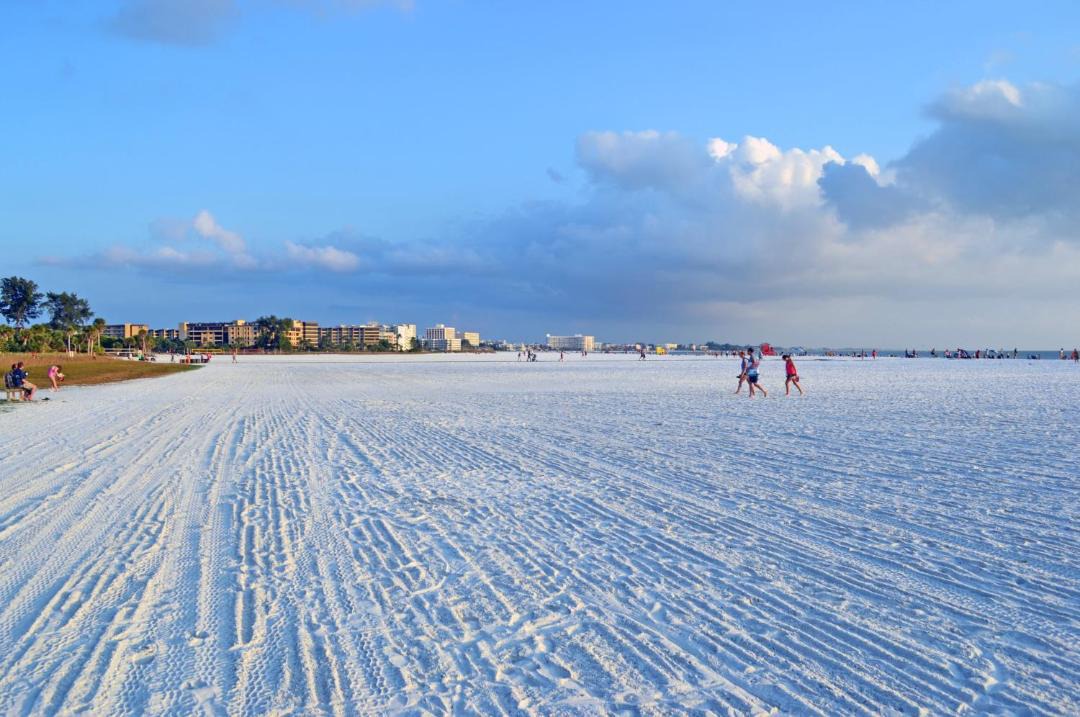 Photo of Others in Siesta Key