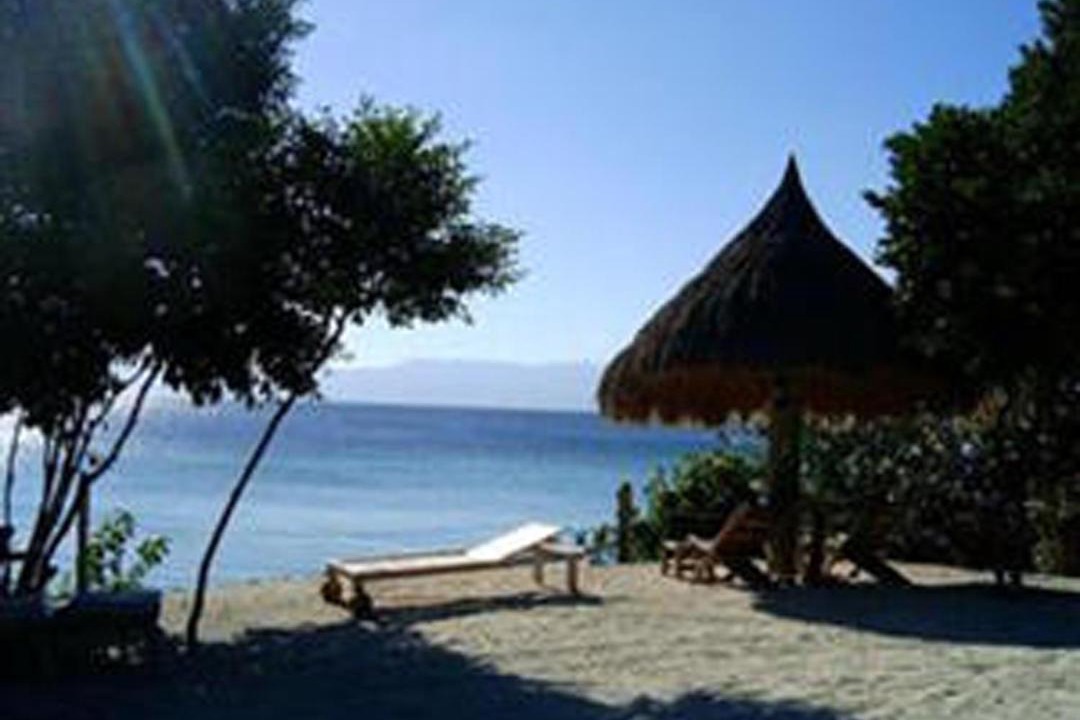 Photo of Others in Moalboal