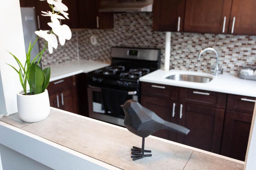 Photo of Kitchen in Harlem