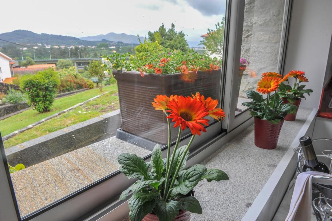Photo of Patio Balcony in Refoios do Lima