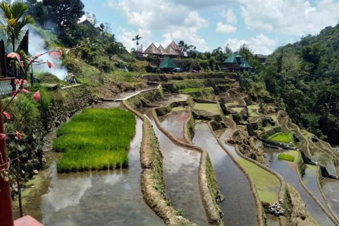 Photo of Others in Banaue