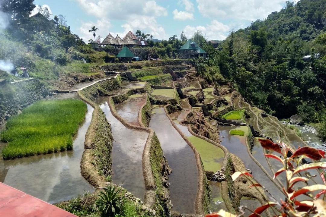 Photo of Others in Banaue