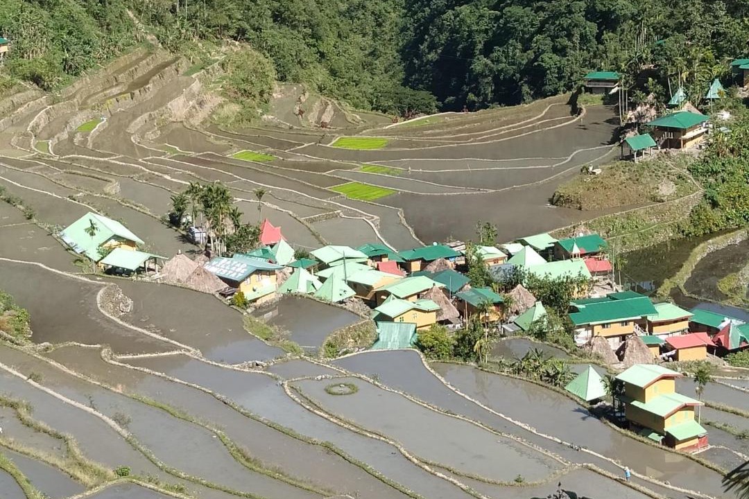 Photo of Others in Batad