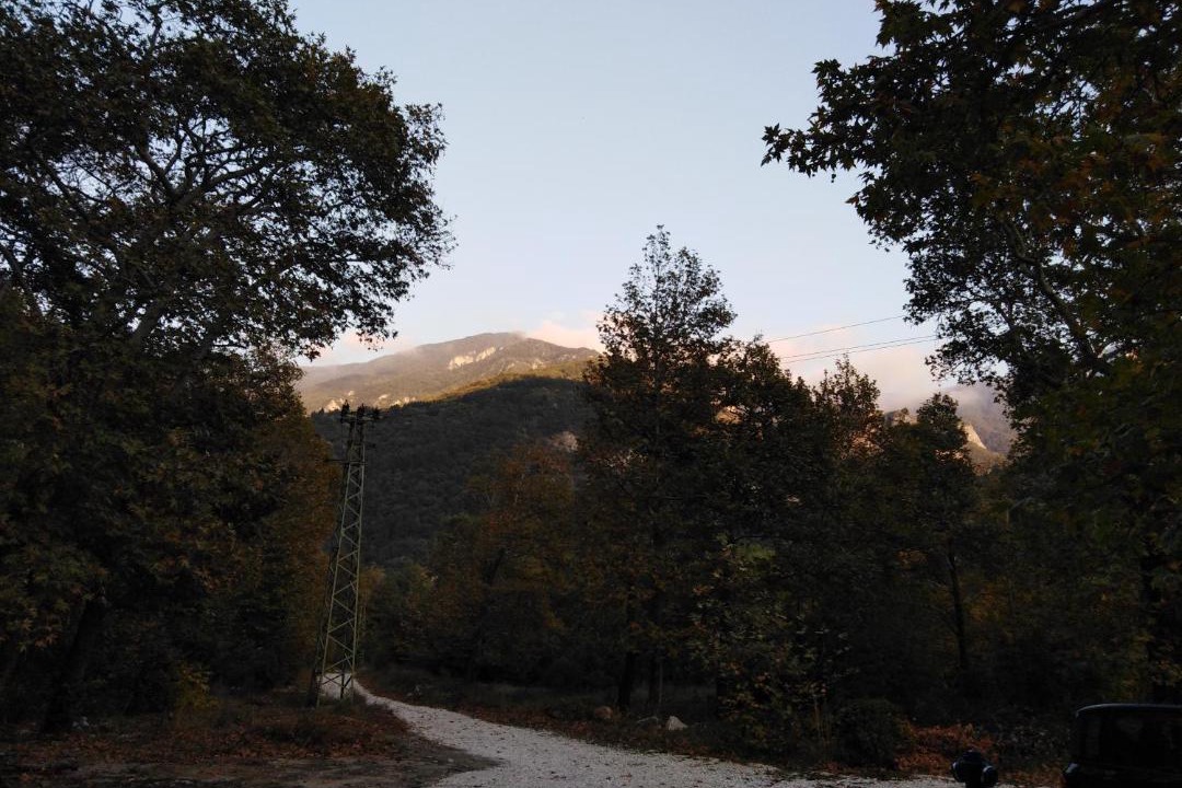 Photo of Others in Lyaskovo