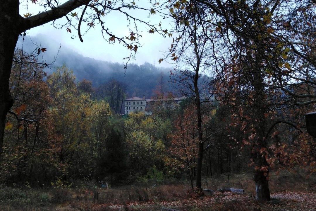 Photo of Others in Lyaskovo