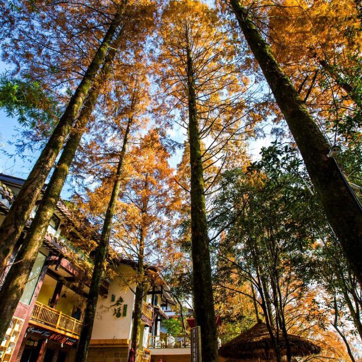 Photo of Others in Wuyishan
