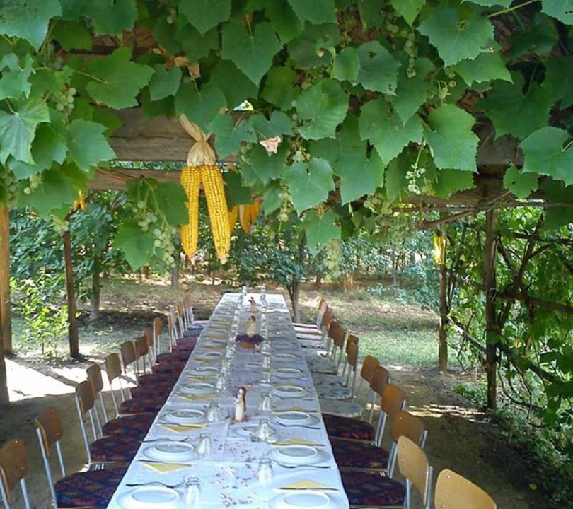 Photo of Outdoor in Szekkutas