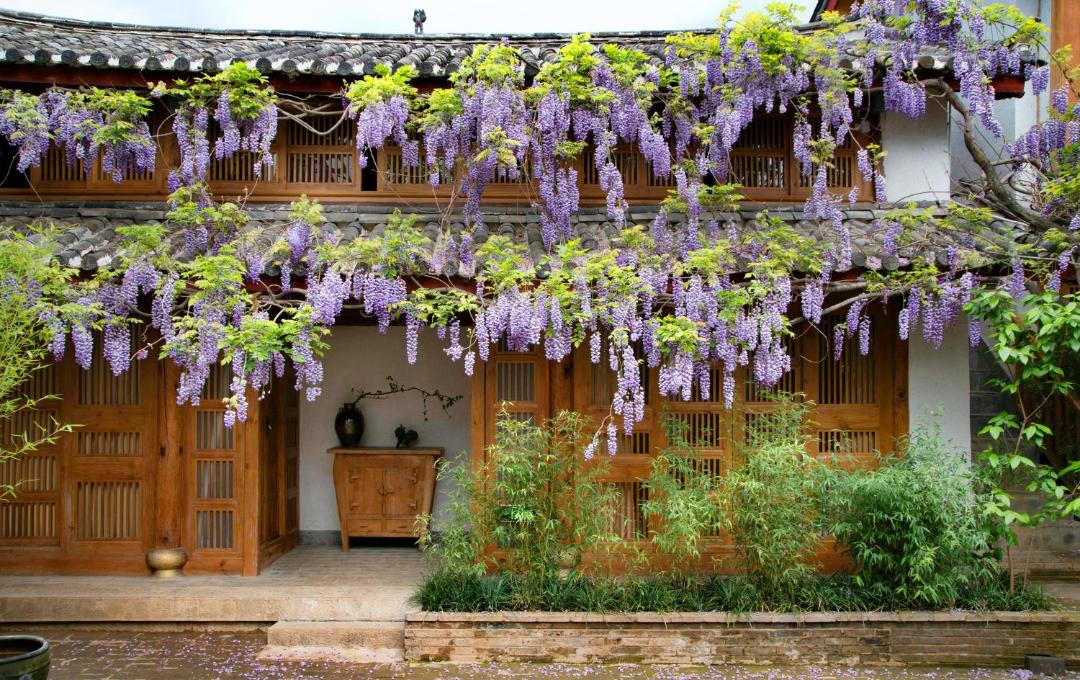 Photo of Others in Shuhe Old Town