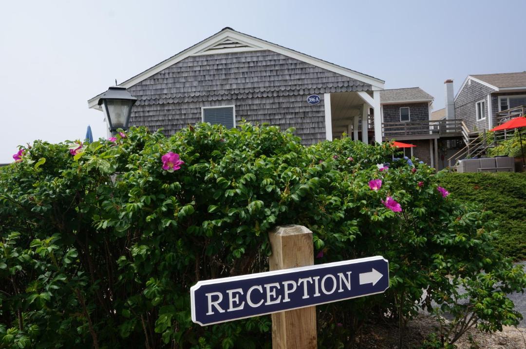 Photo of Others in South Chatham