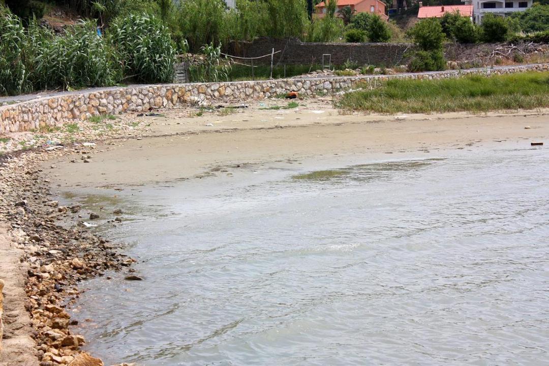 Photo of Others in Suha Punta