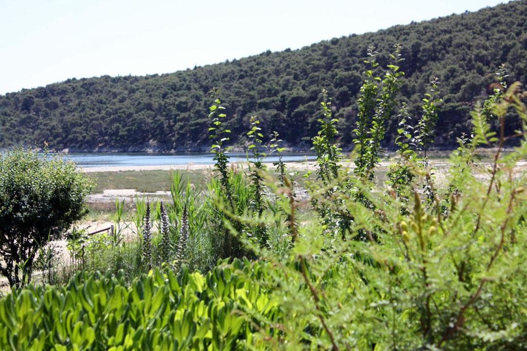 Photo of Others in Suha Punta