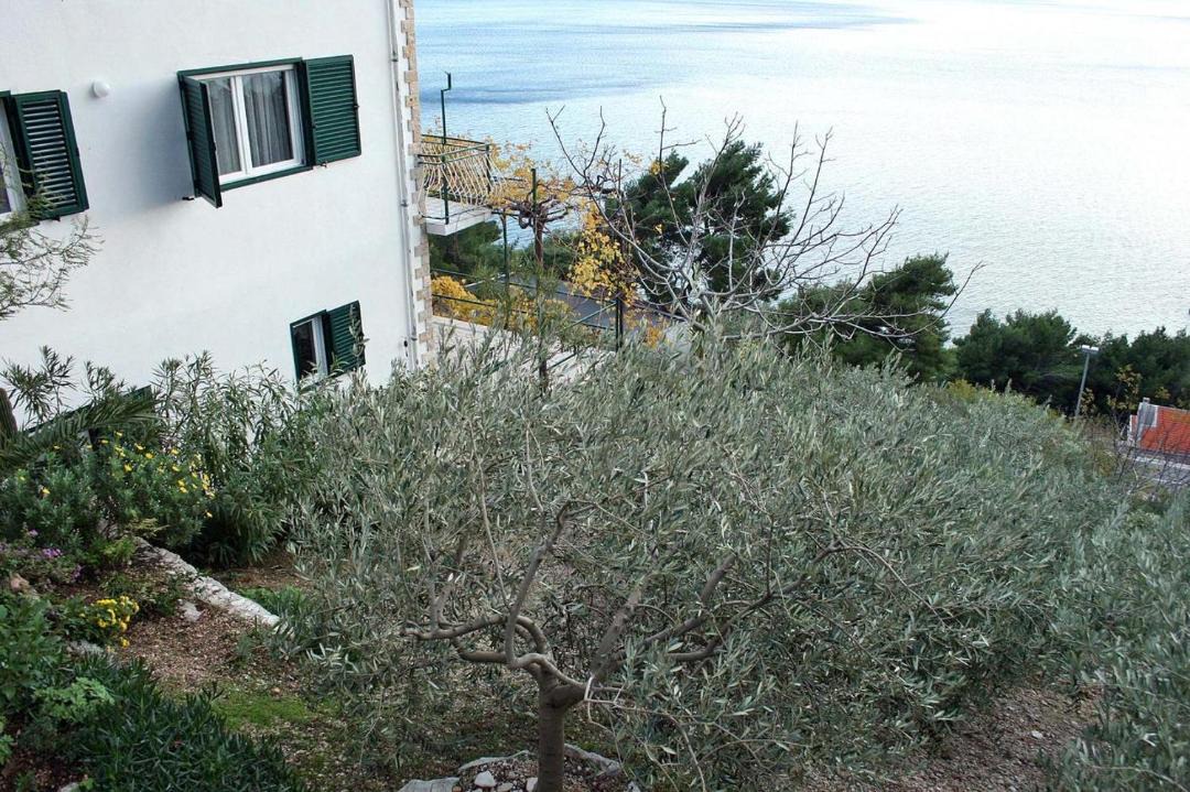 Photo of Buildings in Mimice