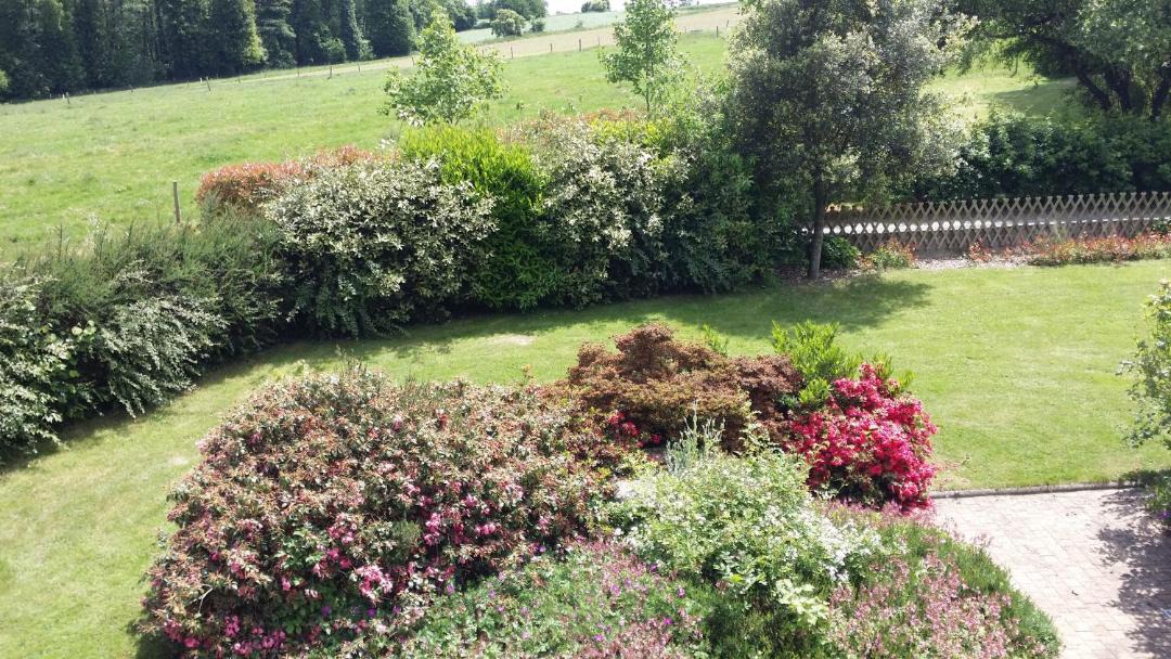 Photo of Outdoor in Plouasne