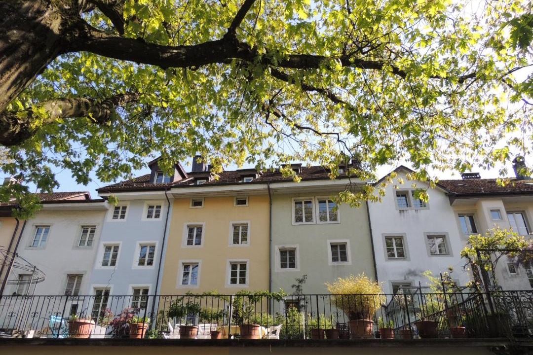 Photo of Others in Solothurn
